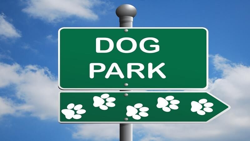 Best Dog Parks in Pittsburgh