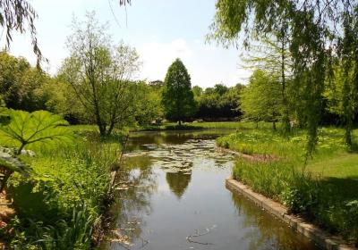 Old Botanical Gardens Or Alter Botanischer Garten