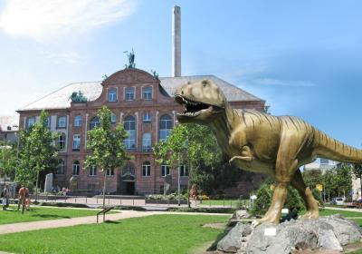 The Senckenberg Museum Of Natural History