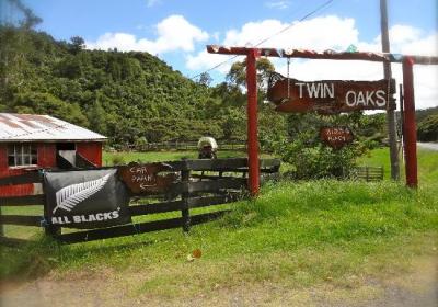 Twin Oaks Riding Ranch