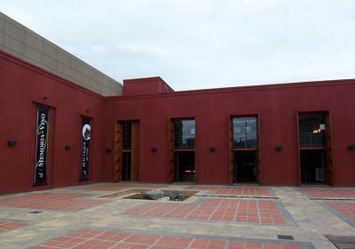 Museo De La Vid Yel Vino