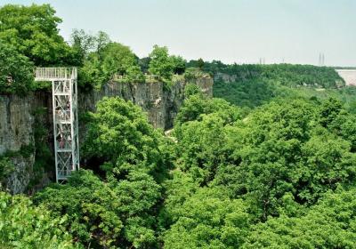 Niagara Glen Nature Reserve