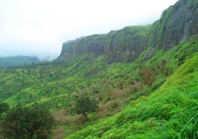 Brahmagiri Hills