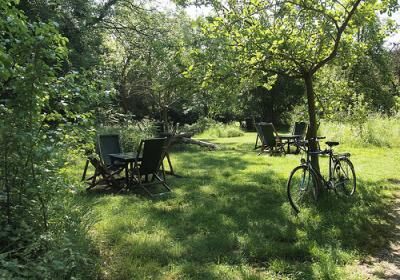 The Orchard Tea Garden
