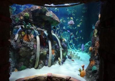 Sea Life Kansas City Aquarium