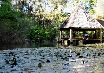 Haller Park