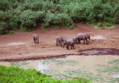 Mwaluganje Elephant Sanctuary