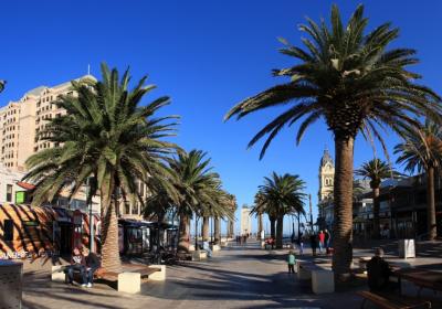 Glenelg