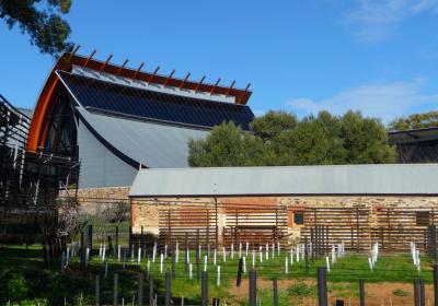 National Wine Centre Of Australia