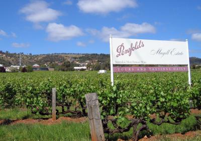 Penfolds Magill Estate Winery