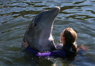 Dolphin Cove Research & Education Center