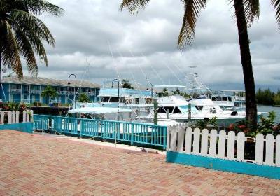 Port Lucaya Marina