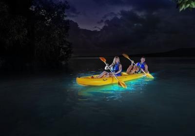 Yokahu Kayak Trips