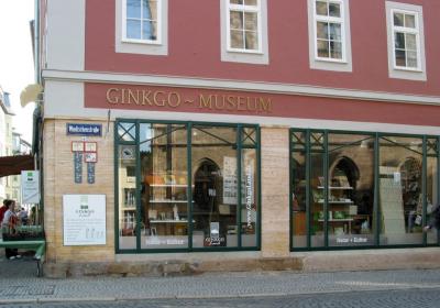 Ginkgo Museum