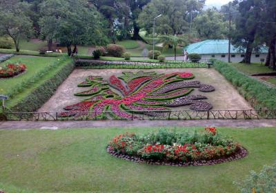 Hakgala Botanic Gardens