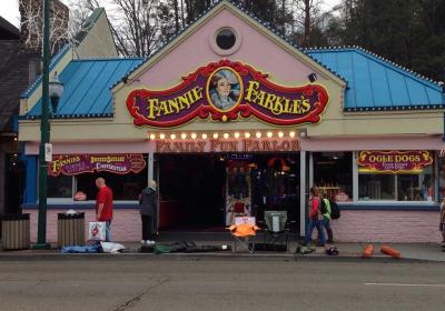 Fannie Farkle's Family Fun Parlor