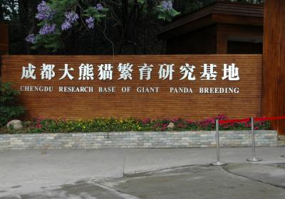 Giant Panda Breeding Research Base