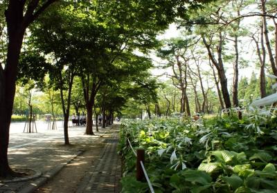 Incheon Grand Park