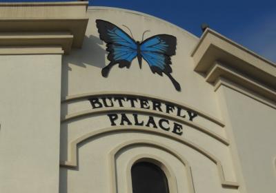 The Butterfly Palace And Rainforest Adventure