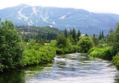 River Of Golden Dreams Or Alta Creek