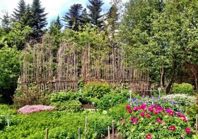 Memorial University Of Newfoundland Botanical Garden