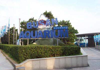 Sea Life Busan Aquarium