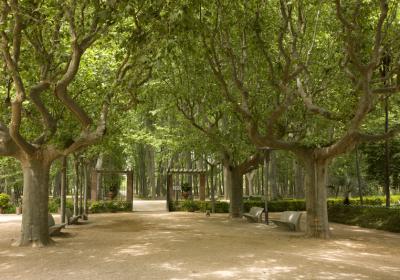 Parc De La Devesa