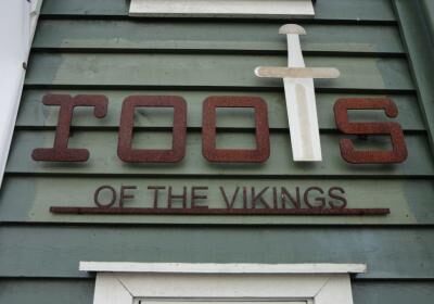 Roots Of Vikings