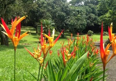 Botanical Orchid Garden