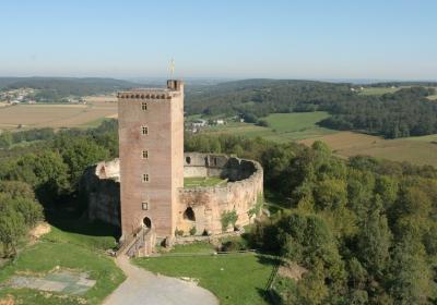 Chateau De Montaner