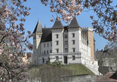 Chateau De Pau