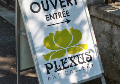 Plexus Art Gallery