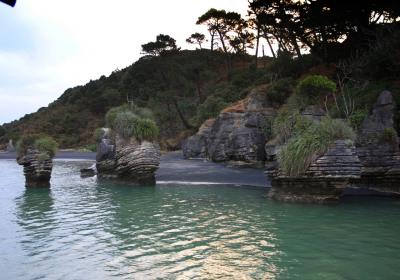 Cruising On Raglan Harbour
