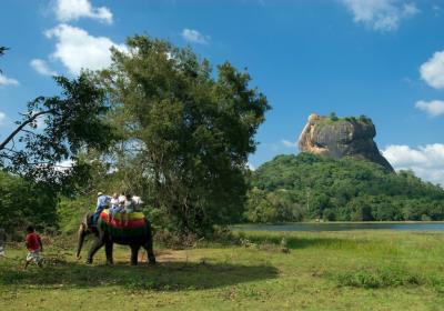 Sigiriya Elephant Ride