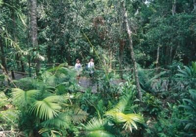 Kuranda Rainforest Nature Park