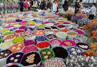 Flowers And Birds Market Of Kunming
