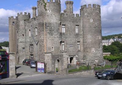 Enniscorthy Castle