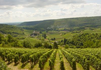 Chemins De Bourgogne