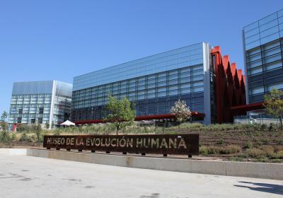 Museum Of Human Evolution Or Museo De La Evolucion Humana