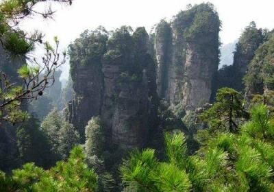 Chongqing Wuling Mountain Forest Park