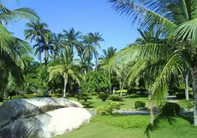 Yanuo Tropical Rain Forest Resort