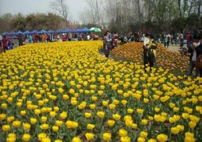 Nanjing Lovers Garden