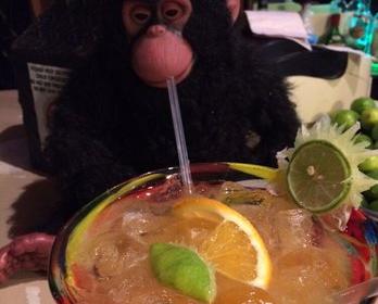 Monkey Business Bar