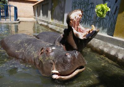 Belgrade Zoo
