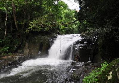 Pala-u Waterfall