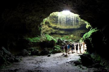 Cave  Oleg  Bat House