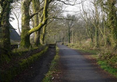 Plym Valley Cycle Trail