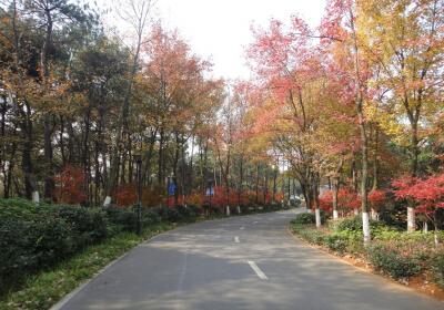 Hunan Forest Botanical Garden