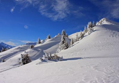 Ski Resort Brambruesch Chur