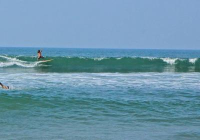 Surf Wala